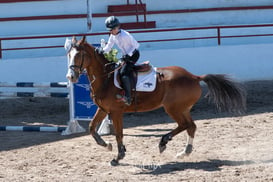 Segundo concurso de salto ecuestre La Barranca @tar.mx