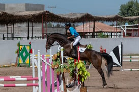 Segundo concurso de salto ecuestre La Barranca @tar.mx