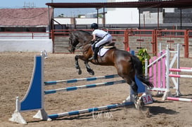 Segundo concurso de salto ecuestre La Barranca @tar.mx