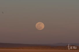 Super luna enero de 2019 @tar.mx