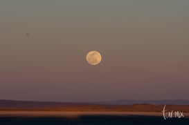 Super luna enero de 2019 @tar.mx