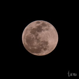 Super luna enero de 2019 @tar.mx