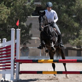 Tercer concurso de Salto 2019 Hípico La Cabaña @tar.mx