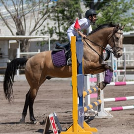 Tercer concurso de Salto 2019 Hípico La Cabaña @tar.mx