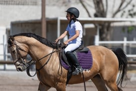 Tercer concurso de Salto 2019 Hípico La Cabaña @tar.mx