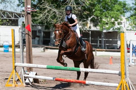 Tercer concurso de Salto 2019 Hípico La Cabaña @tar.mx