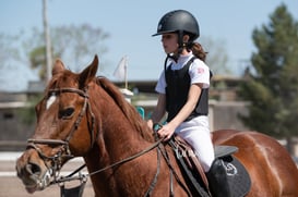 Tercer concurso de Salto 2019 Hípico La Cabaña @tar.mx