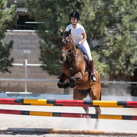 Tercer concurso de Salto 2019 Hípico La Cabaña @tar.mx