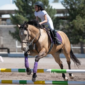 Tercer concurso de Salto 2019 Hípico La Cabaña @tar.mx