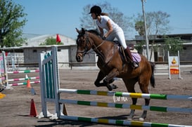 Tercer concurso de Salto 2019 Hípico La Cabaña @tar.mx