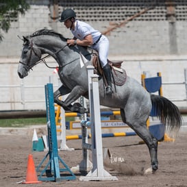 Tercer concurso de Salto 2019 Hípico La Cabaña @tar.mx