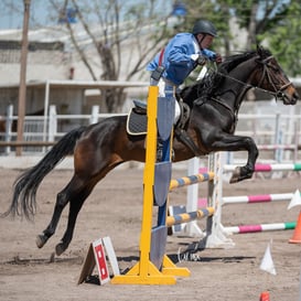 Tercer concurso de Salto 2019 Hípico La Cabaña @tar.mx