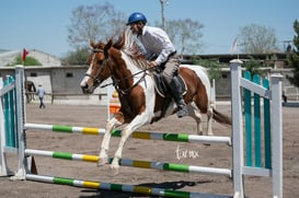 Tercer concurso de Salto 2019 Hípico La Cabaña @tar.mx