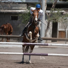 Tercer concurso de Salto 2019 Hípico La Cabaña @tar.mx