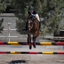 Tercer concurso de Salto 2019 Hípico La Cabaña @tar.mx