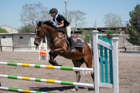 Tercer concurso de Salto 2019 Hípico La Cabaña @tar.mx