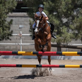 Tercer concurso de Salto 2019 Hípico La Cabaña @tar.mx