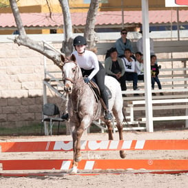 Ámbar Lozano @tar.mx