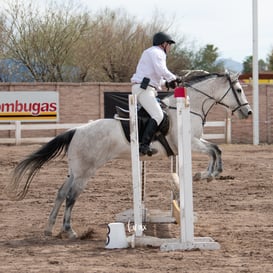 Concurso de salto Las Brisas @tar.mx