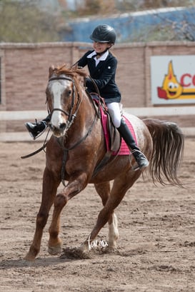 Concurso de salto Las Brisas @tar.mx