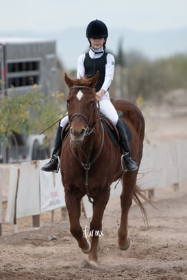 Concurso de salto Las Brisas @tar.mx