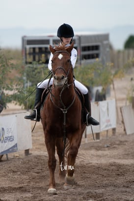 Concurso de salto Las Brisas @tar.mx