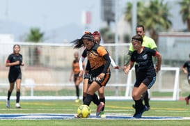 Aztecas FC vs Panteras FC @tar.mx