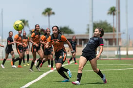 Aztecas FC vs Panteras FC @tar.mx