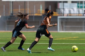 Aztecas FC vs Panteras FC @tar.mx