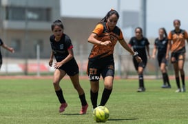 Aztecas FC vs Panteras FC @tar.mx