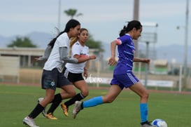 Ferrocarrileras vs Osas FC @tar.mx