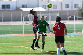 Panteras de Saltillo @tar.mx