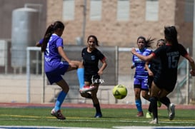 Panteras FC vs Ferrocarrileras @tar.mx