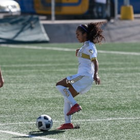 Santos Tigres femenil sub17 @tar.mx