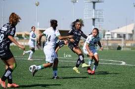 Santos vs Necaxa J8 A2021 Liga MX @tar.mx