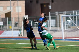 CEFOR Santos vs Británico femenil @tar.mx