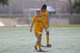 Santos vs Tigres J16 C2022 Liga MX @tar.mx