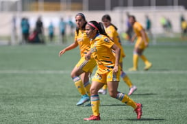 Santos vs Tigres J16 C2022 Liga MX @tar.mx