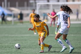 Santos vs Tigres J16 C2022 Liga MX @tar.mx