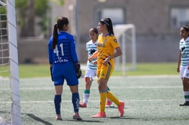 Santos vs Tigres J16 C2022 Liga MX @tar.mx