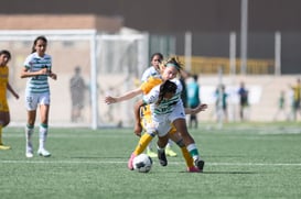 Santos vs Tigres J16 C2022 Liga MX @tar.mx