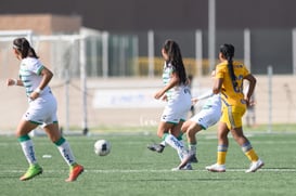 Santos vs Tigres J16 C2022 Liga MX @tar.mx