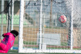 Del gol de Paulina, Paulina Peña @tar.mx