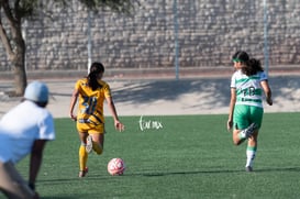 Santos Laguna vs Tigres femenil sub 18 J8 @tar.mx