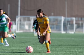 Santos Laguna vs Tigres femenil sub 18 J8 @tar.mx