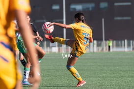 Santos Laguna vs Tigres femenil sub 18 J8 @tar.mx