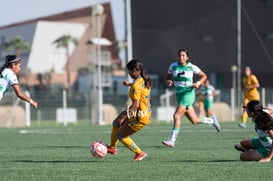 Santos Laguna vs Tigres femenil sub 18 J8 @tar.mx