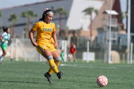 Santos Laguna vs Tigres femenil sub 18 J8 @tar.mx