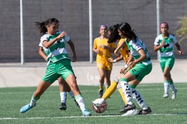 Santos Laguna vs Tigres femenil sub 18 J8 @tar.mx