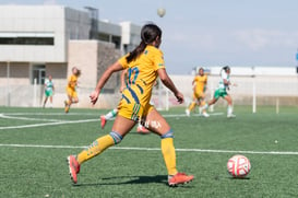 Santos Laguna vs Tigres femenil sub 18 J8 @tar.mx